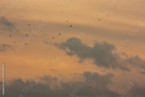 Birds and Clouds © Justin