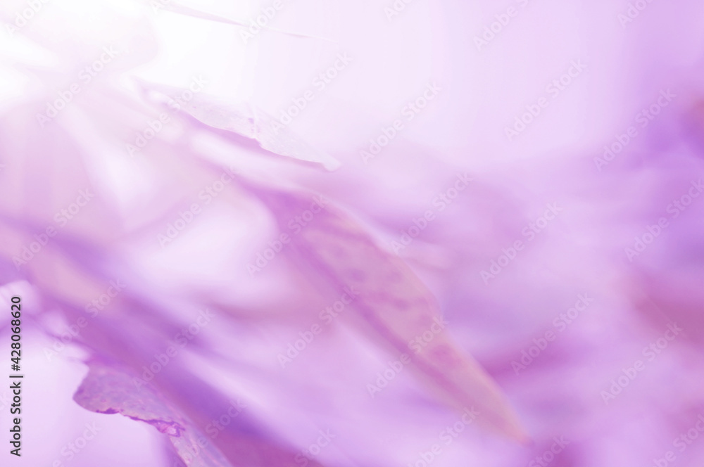 Purple Leaf background. Blurred leaves and circular bokeh. Abstract for design and wallpaper. Purple Leaf background. Blurred leaves and circular bokeh. Abstract for design and wallpaper.