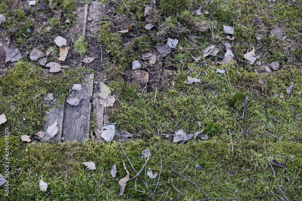 Old wooden shingles tiled roof with moss closeup, traditional ancient Russian roofing technology at spring day Old wooden shingles tiled roof with moss closeup, traditional ancient Russian roofing technology at spring day