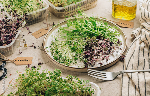 Fresh microgreens salad on beige stone backgrund. Healthy food concept. photo
