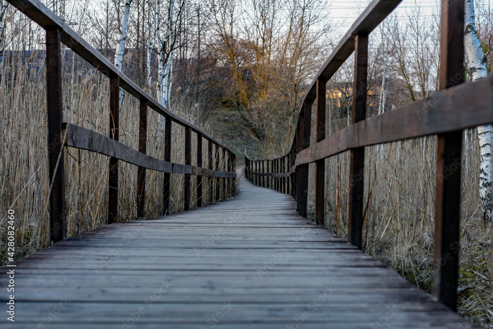 Fototapeta premium wooden bridge in autumn