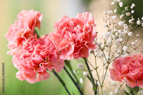 Obraz na płótnie Bouquet of beautiful carnation flowers outdoors