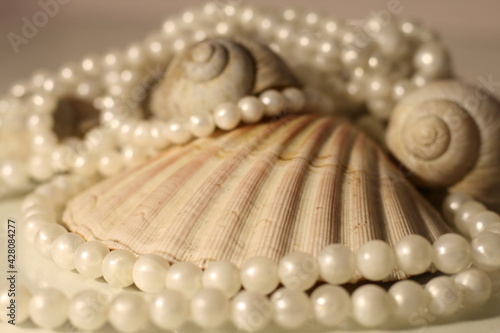pearl necklace and shell