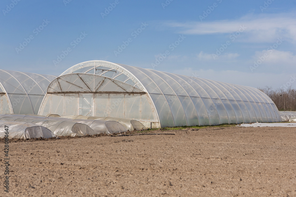 large and small greenhouses on farmland, cultivation of vegetables large and small greenhouses on farmland, cultivation of vegetables