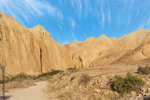 canyon of the OG riverbed at dawn