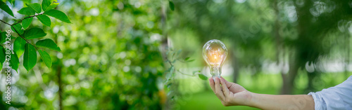 Light bulb Energy saving green nature background