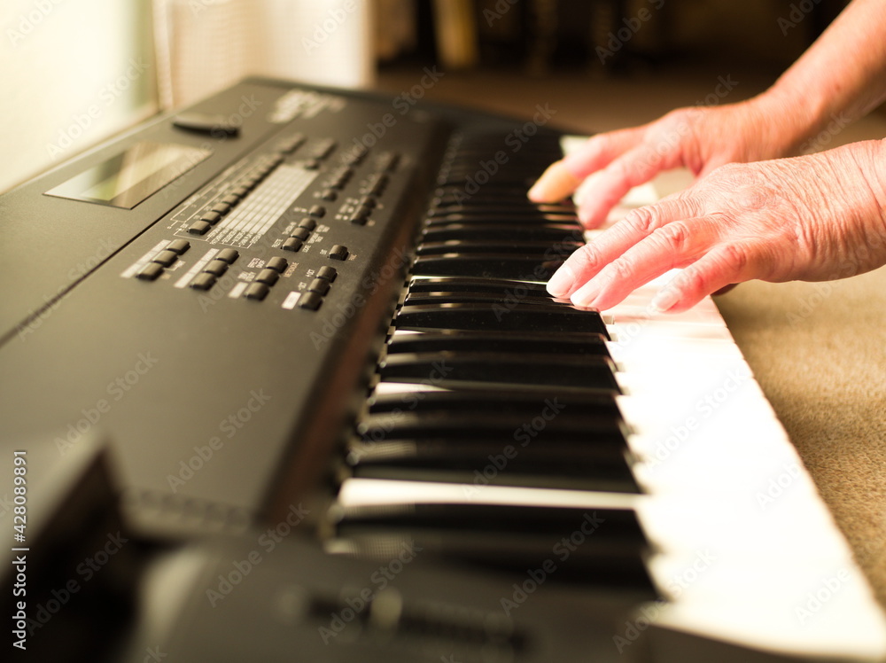 Fototapeta premium キーボードを練習するシニア