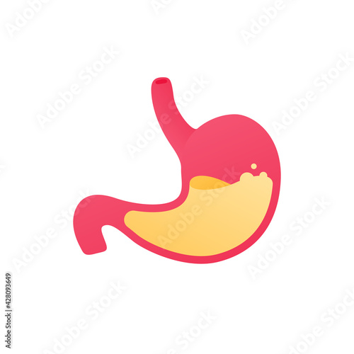 Human organ collection. Digestion system. Vector flat anatomical icon illustration. Red stomach with acid liquid isolated on white background. Health care sign. Gastric and reflux symbol.