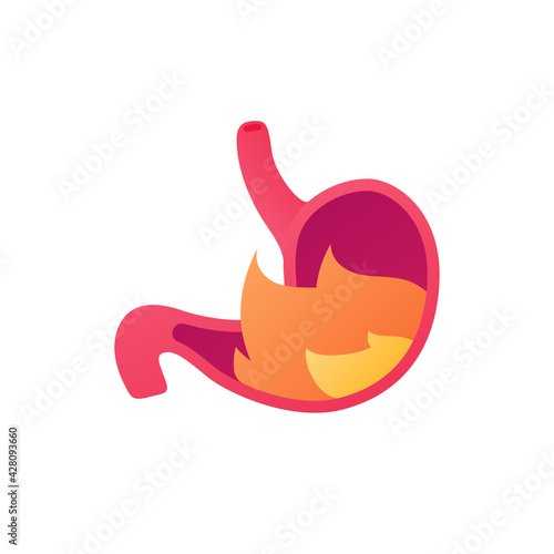 Human organ collection. Digestion system. Vector flat anatomical icon illustration. Red stomach with fire liquid isolated on white background. Health care sign. Gastric, reflux and pain symbol.