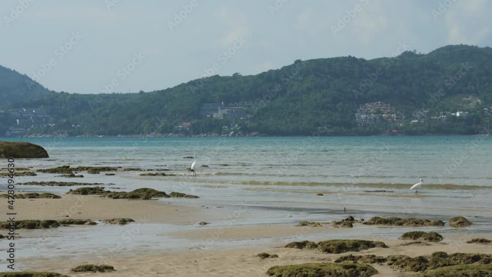 Phuket Patong Beach lake and mountains Phuket Patong Beach lake and mountains