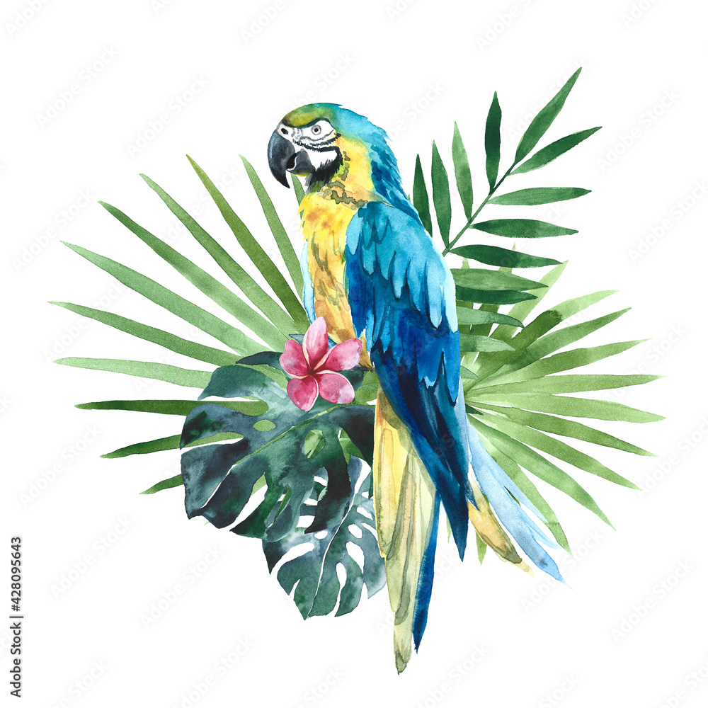 Fototapeta premium Watercolor yellow blue macaw parrot, South American parrot with tropical palm leaves. Hand drawn illustration, clip art isolated on white background
