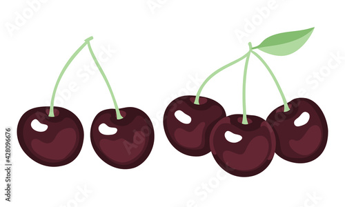 Sweet black cherry vector illustration