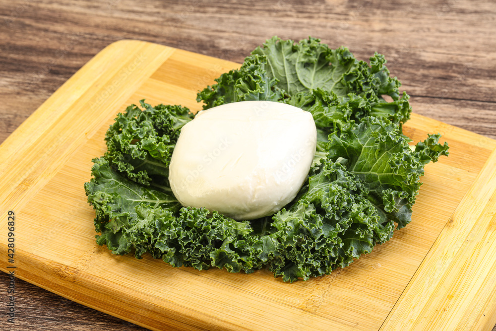Soft mozzarella cheese over board Soft mozzarella cheese over board