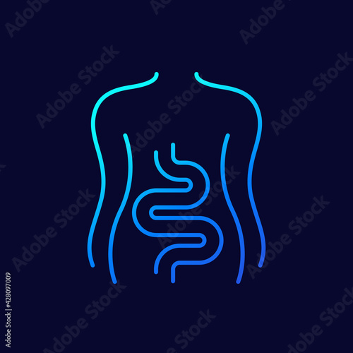 Intestines, colon line icon on dark