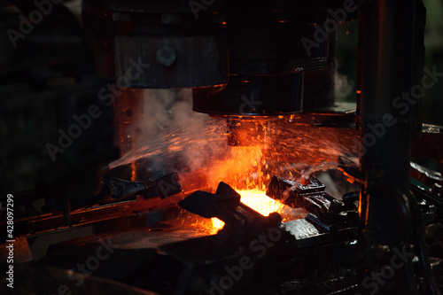 Cuadro en lienzo Bearing plant