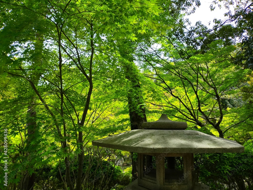 Naklejka premium 日本の名城、和歌山の観光スポット和歌山城の日本庭園（紅葉谷庭園）の新緑の木々の葉と設置された石灯籠がある春の柔らかい日差しの風景（コピースペースあり）