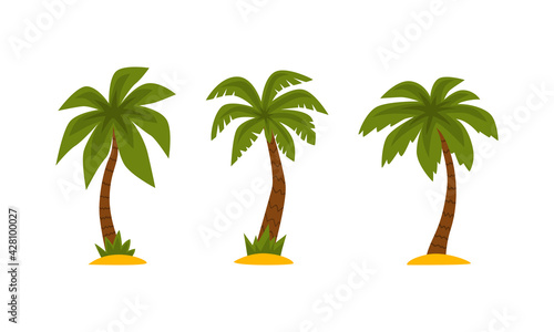 Palm Tree as Tropical Plant with Trunk Rested on Sand Vector Set