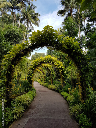 Beautiful view of an archway in Singapore Botanic Garden Fototapeta