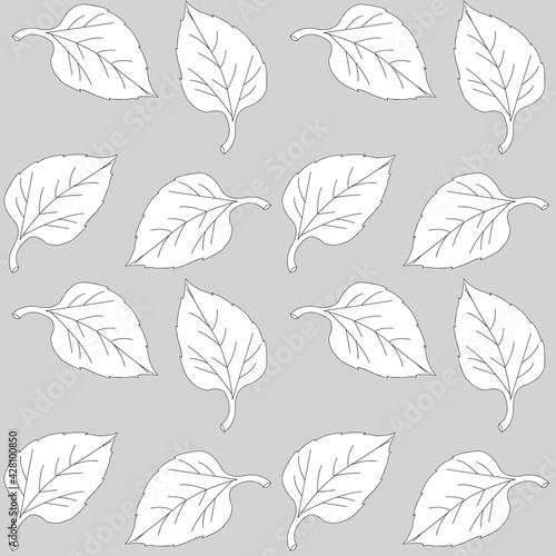A creative composition consisting of graphic and plant elements. An abstraction. A resource for printing on paper or fabric, seamless background.