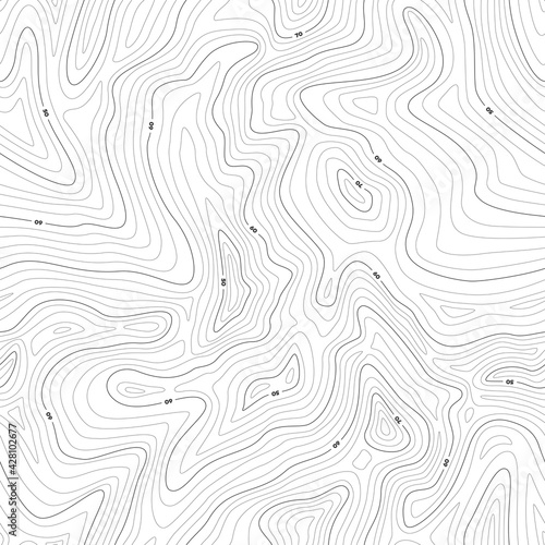 Vector black seamless pattern topographic map with contour line. Isolated on white background.