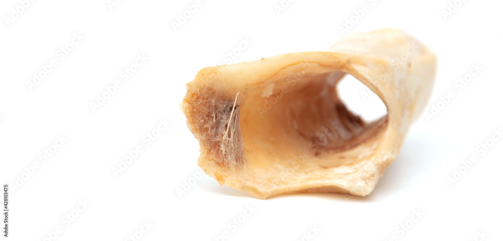 Cow bone isolated on white background. Cow bone isolated on white background.