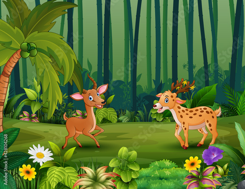 Fototapeta Naklejka Na Ścianę i Meble -  Happy deers playing in the jungle