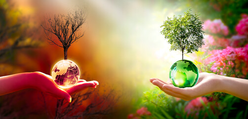Earth Day or World Environment Day concept. Save our Planet and forest, restore and protect green nature, global warming and Climate change. Live and dry tree and globe in human hand, choosing future.