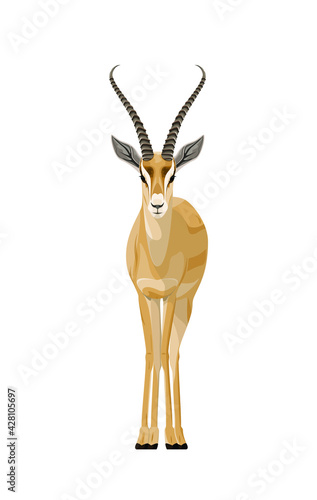 Detailed antelope on a white background. Gazelle