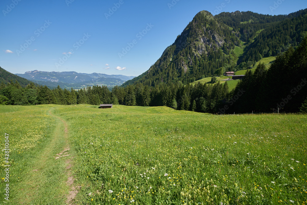 Bei strahlendem Sonnenschein im Sommer durchs Dietersbacher Tal Bei strahlendem Sonnenschein im Sommer durchs Dietersbacher Tal