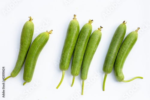 Photography Fresh green sponge gourd or luff on white