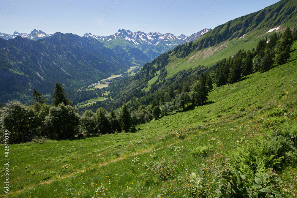 Blick von der Sölleralpe über das sommerliche Stillachtal auf die Gipfel der Allgäuer Alpen