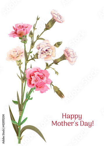 Vertical Mother's Day, Victory Day card with carnation: white, light, pink, flowers, twigs, white background. Templates for design, vintage botanical illustration in watercolor style, vector