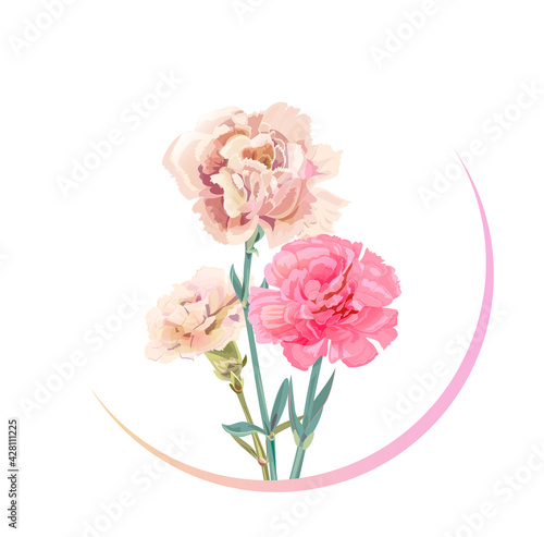 Round Mother's Day, Victory Day card with carnation: white, light, pink, flowers, twigs, white background. Circle templates for design, vintage botanical illustration in watercolor style, vector