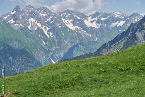Blick von der Schlappold Alpe über sommerliche Almen auf die Berggipfel des Allgäuer Alpenhauptkamms © Michael Fritzen