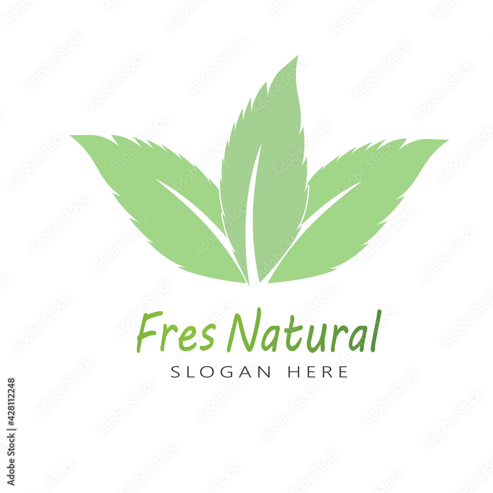 Leaf icon Vector Illustration design Logo template Leaf icon Vector Illustration design Logo template