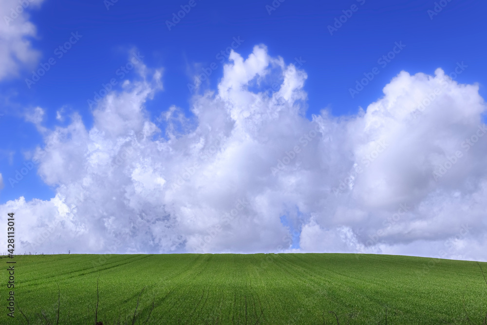Clouds on blue sky above tufts of grass. Clouds on blue sky above tufts of grass.