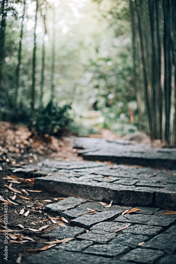 way. small stone path in the park. motivational picture to move forward the steps of life. way. small stone path in the park. motivational picture to move forward the steps of life.