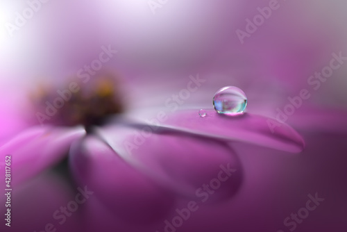Beautiful Nature Background.Floral Art Design.Abstract Macro Photography.Daisy Flower.Pastel Flowers.Violet Background.Creative Artistic Wallpaper.Wedding Invitation.Celebration,love.Close up.Droplet.