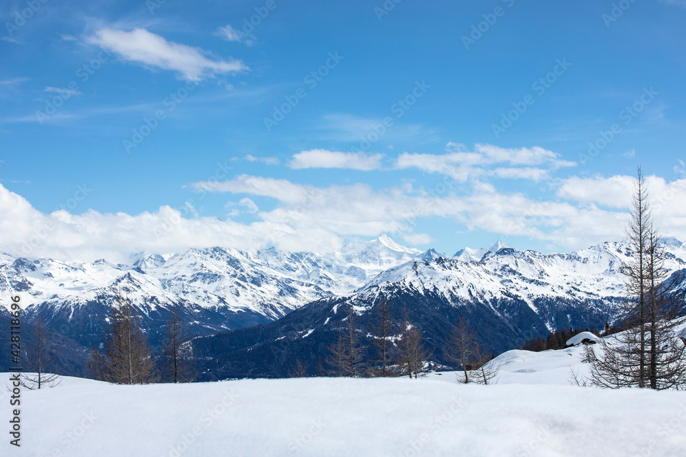 Alpine landscape with fir tree silhouette. Winter landscape, snowcapped mountains with cloudscape, blue sky, sunny day. Snowy mountain peaks in Swiss alps, Wallis canton.