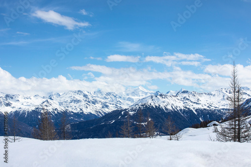 Alpine landscape with fir tree silhouette. Winter landscape, snowcapped mountains with cloudscape, blue sky, sunny day. Snowy mountain peaks in Swiss alps, Wallis canton. © MindestensM