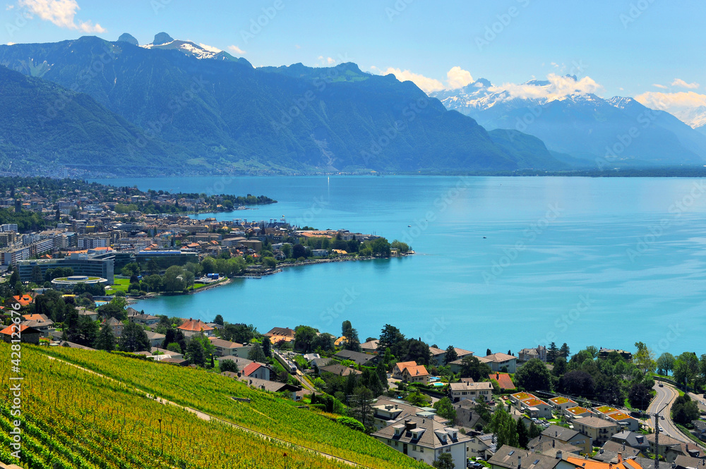 Summer day at Geneva lake, Switzerland
