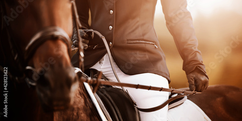 A rider in a black suit and leather gloves sits on a bay horse, holding the bridle rein in his hands on a sunny day. Equestrian sports. Horse riding.