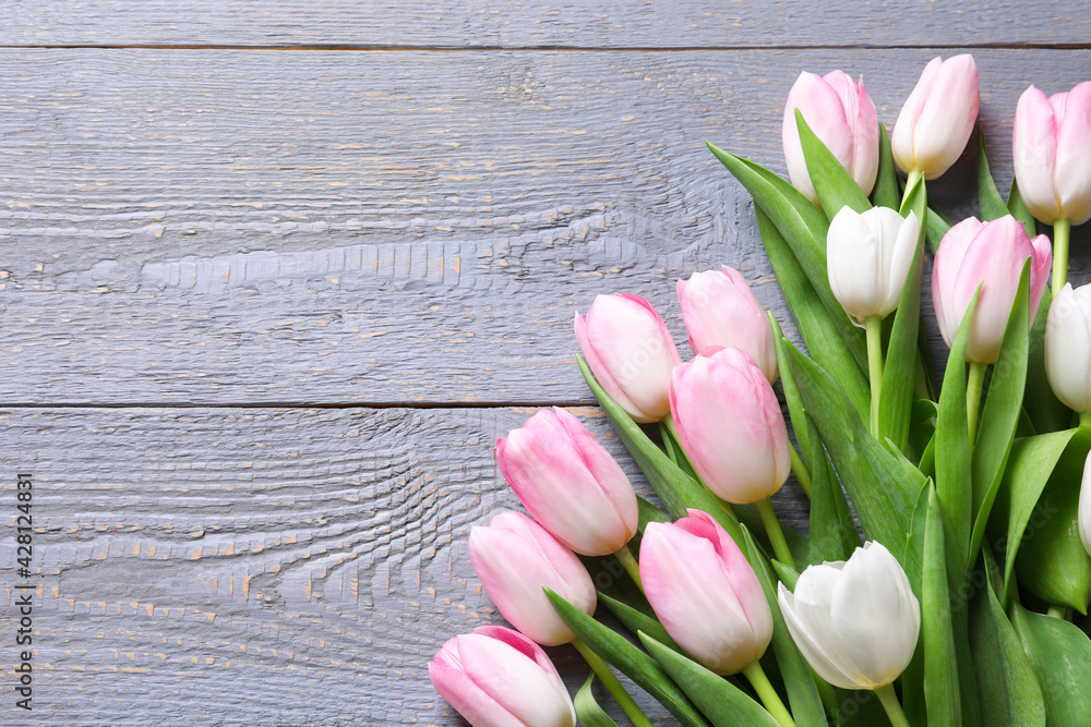 Beautiful pink spring tulips on grey wooden background, flat lay. Space for text