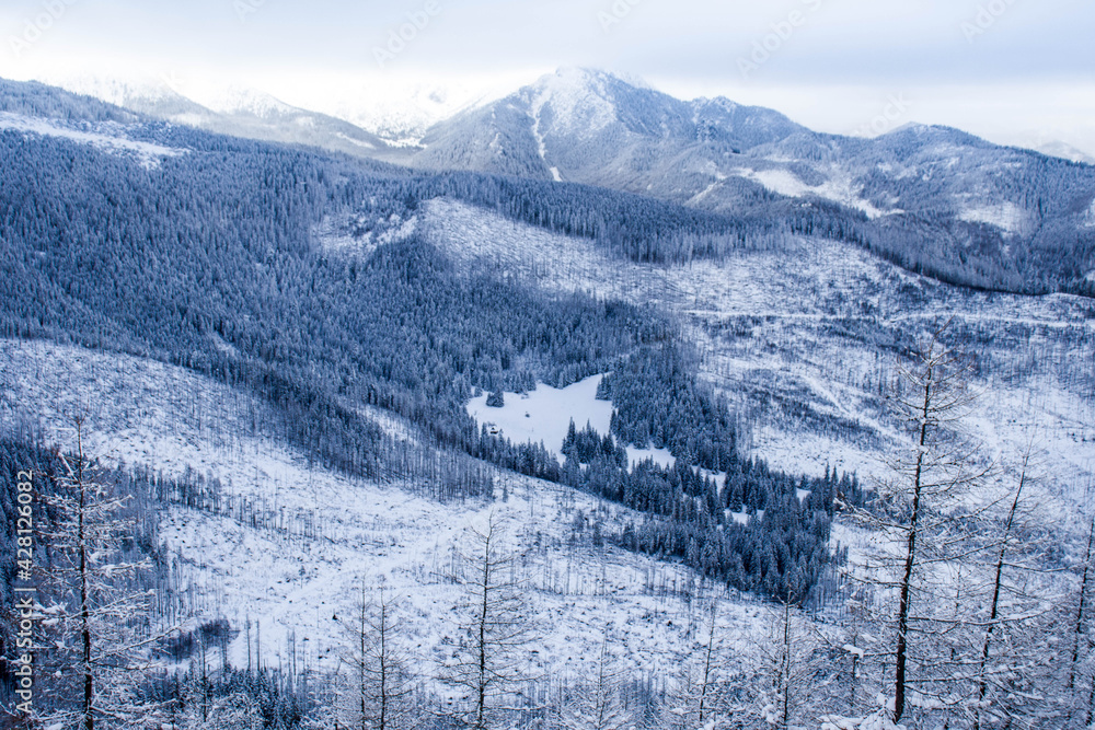 Piękny zimowy widok na panoramę gór Tatry - obrazy, fototapety, plakaty 