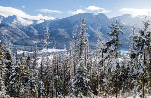 Piękny zimowy widok na panoramę gór Tatry