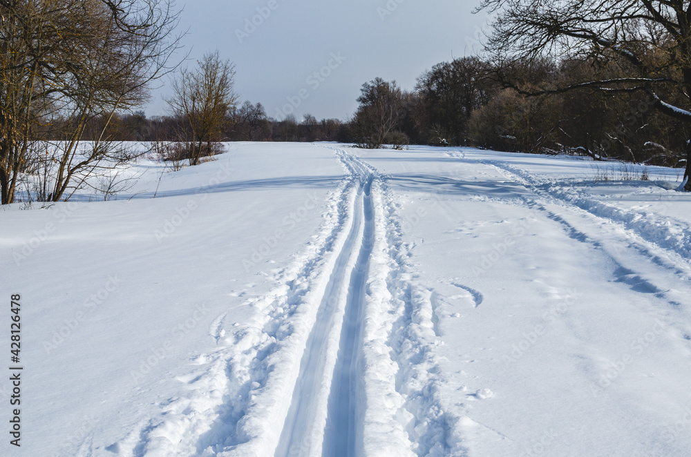 Ski tracks. Winter sport - cross-country skiing Ski tracks. Winter sport - cross-country skiing