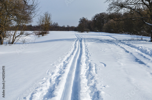 Ski tracks. Winter sport - cross-country skiing © Ivan