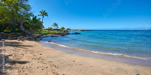 Small ocean bay with the beach and palm trees in Hawaii.