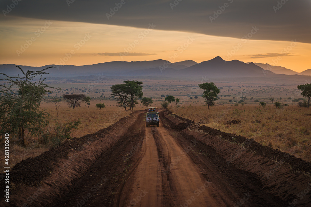 Road in in savannah in Murchison National Park, Uganda, Africa, sunrise