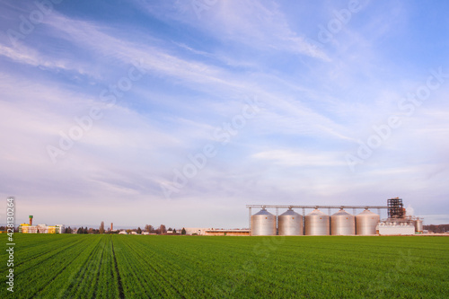 Green field of young wheat sprouts, a number of granaries and other buildings on the horizon